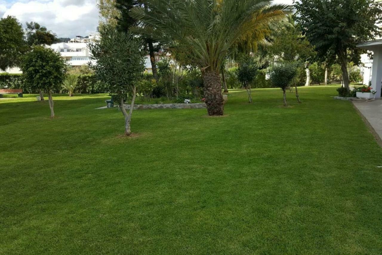 Study Near Malaga And The Beach Apartment ภายนอก รูปภาพ